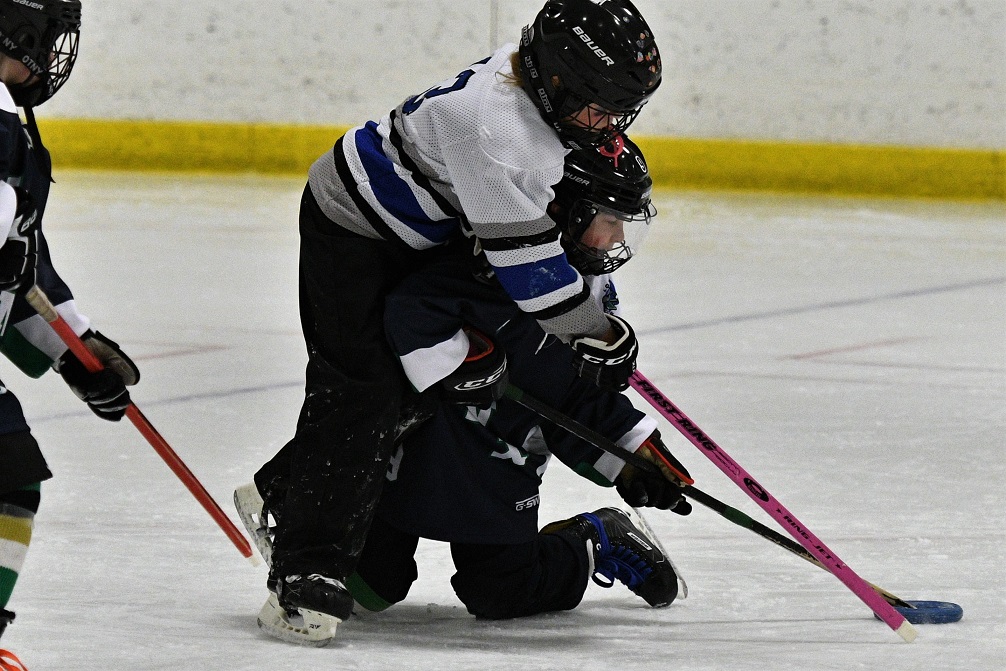 Western regional ringette