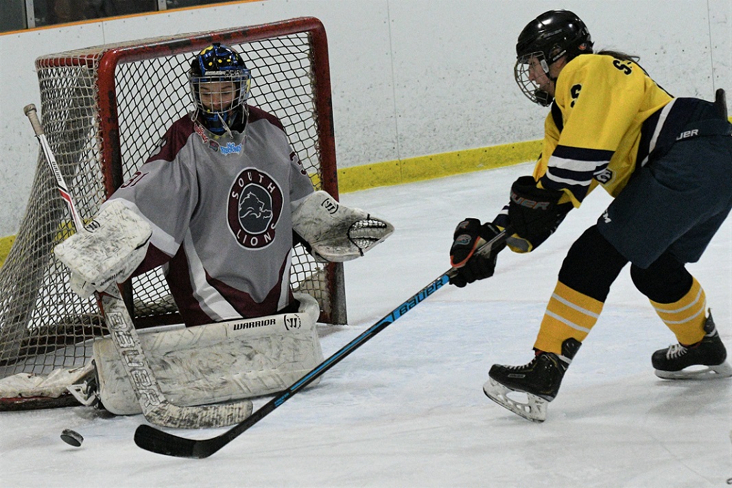 WOSSAA girls hockey