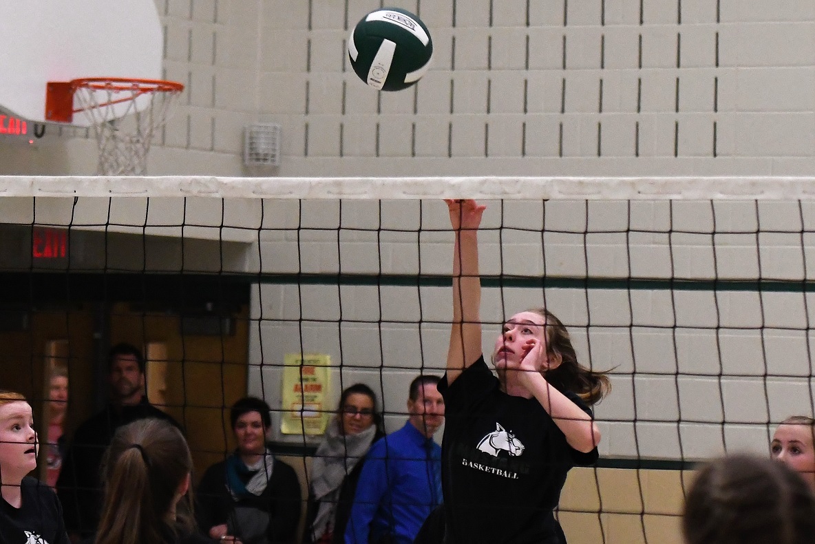 TVDSB regional girls volleyball