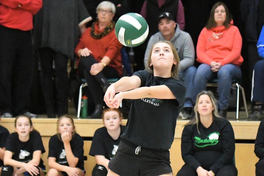 TVDSB regional girls volleyball