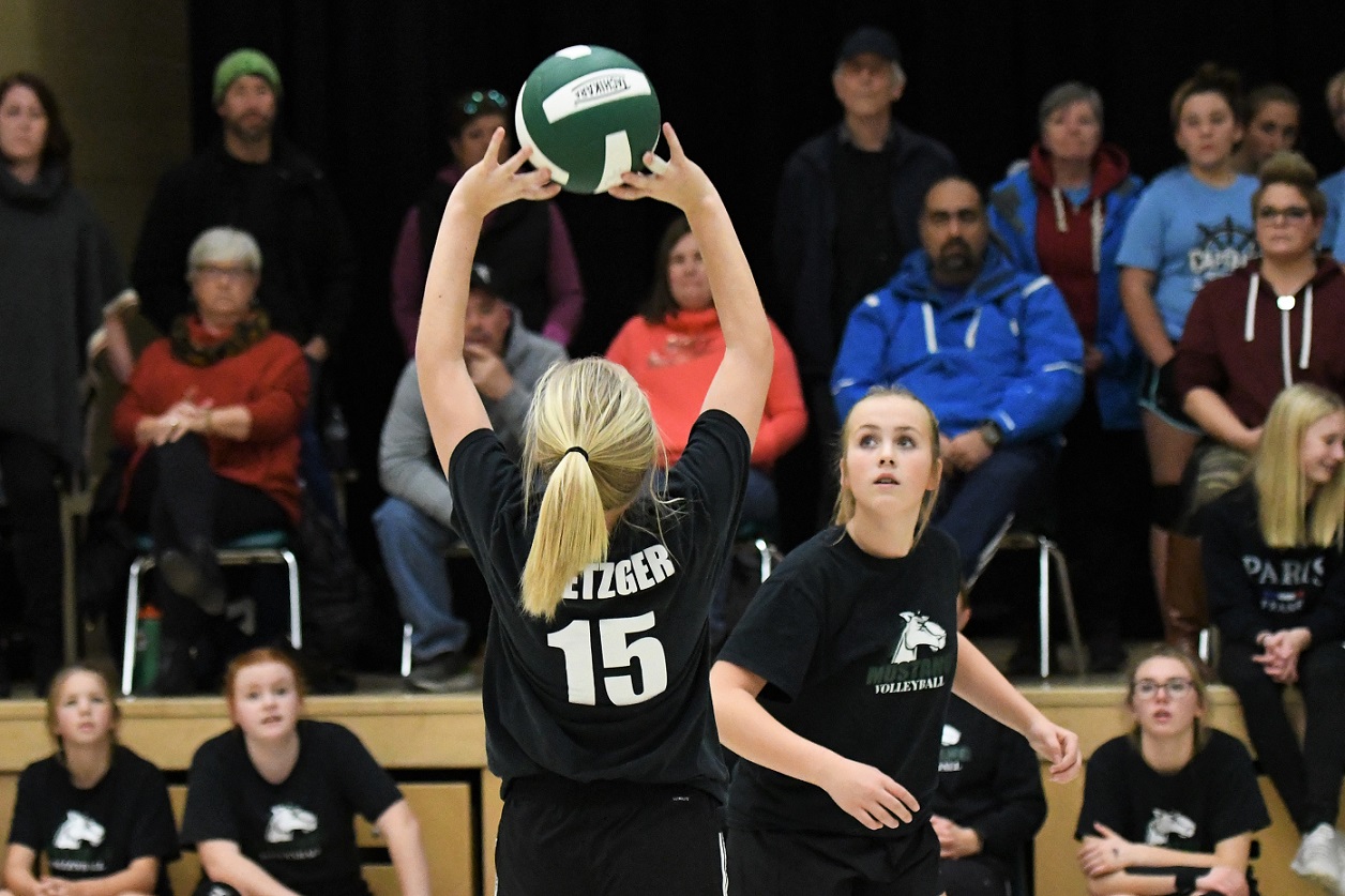 TVDSB regional girls volleyball