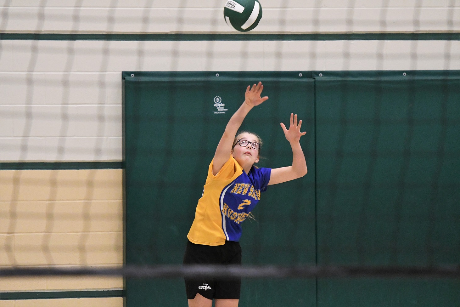 TVDSB regional girls volleyball