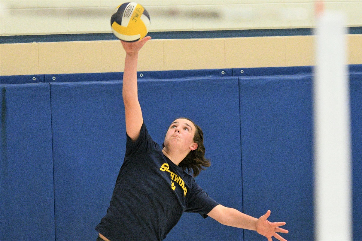 elementary school volleyball