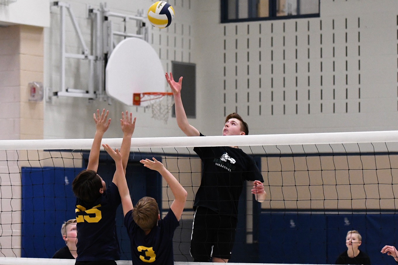 TVDSB regional boys volleyball finals