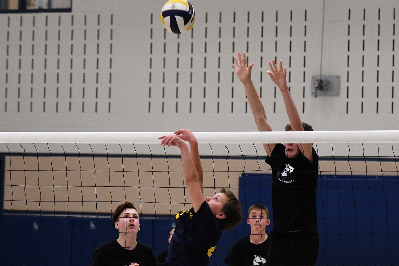TVDSB regional boys volleyball finals