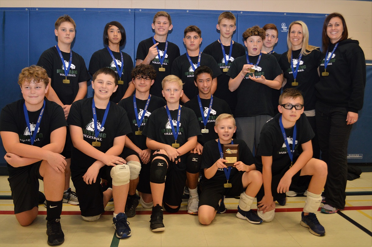 TVDSB regional boys volleyball finals