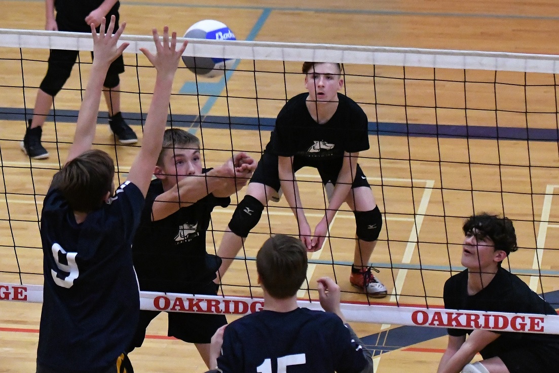 TVDSB Valley boys volleyball final