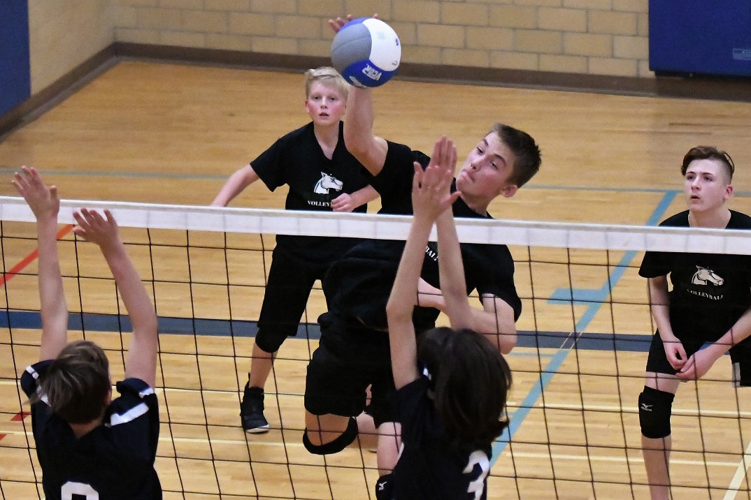 TVDSB Valley boys volleyball final