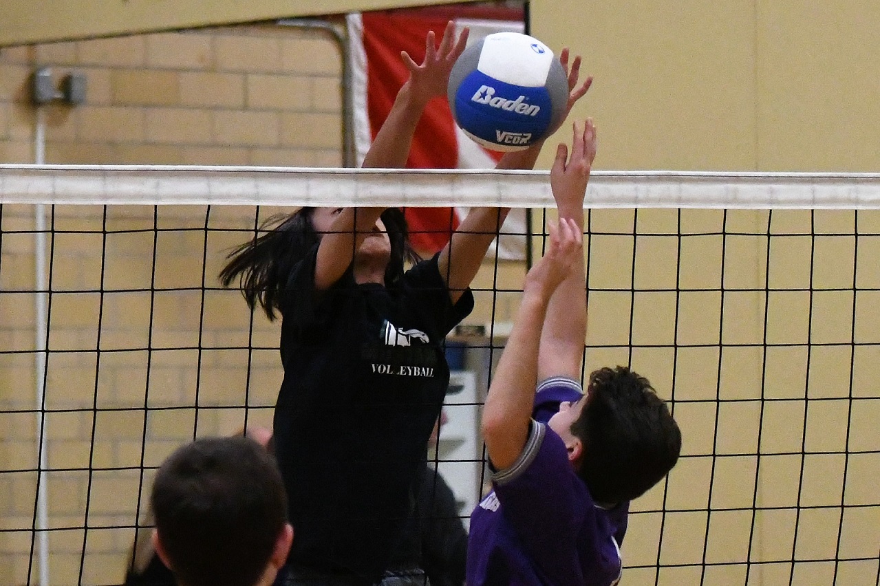 TVDSB Valley boys volleyball final