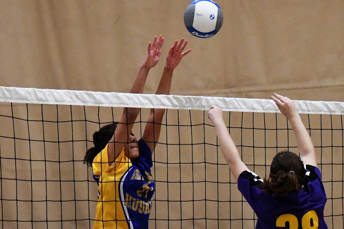 TVDSB Valley A girls volleyball