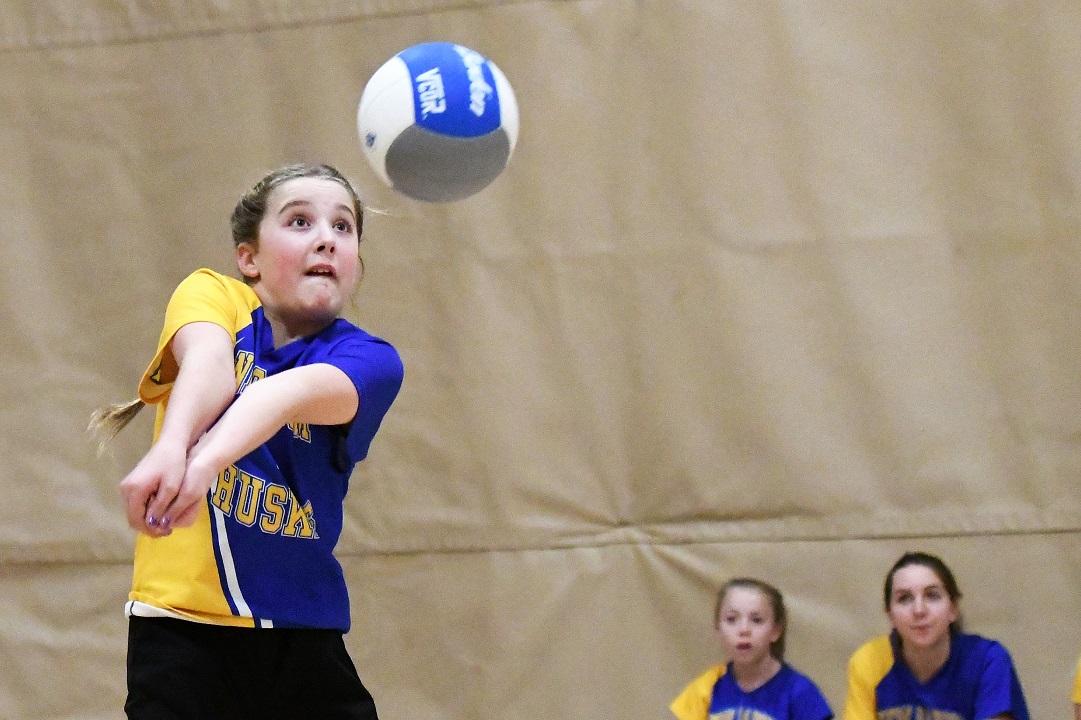 TVDSB Valley A girls volleyball
