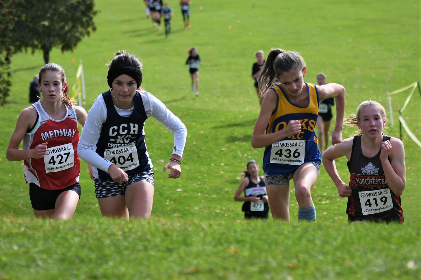 WOSSAA XC