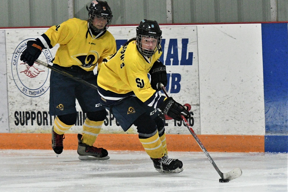 District girls hockey final
