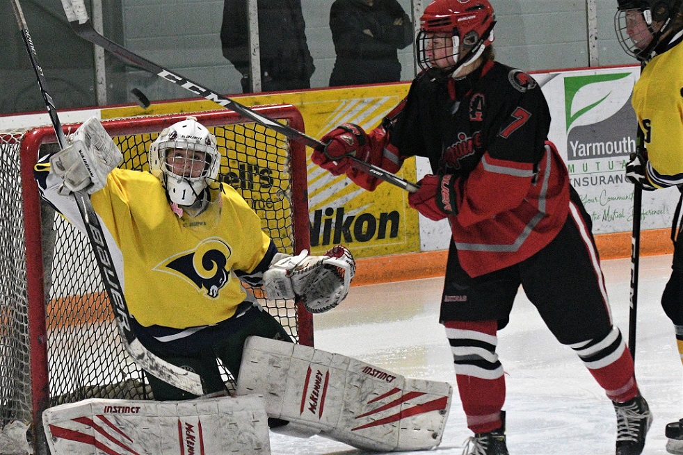 District girls hockey final