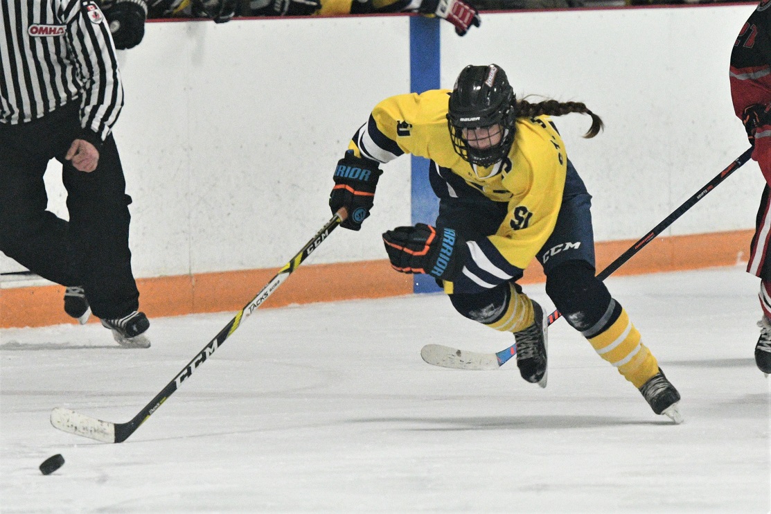 District girls hockey final