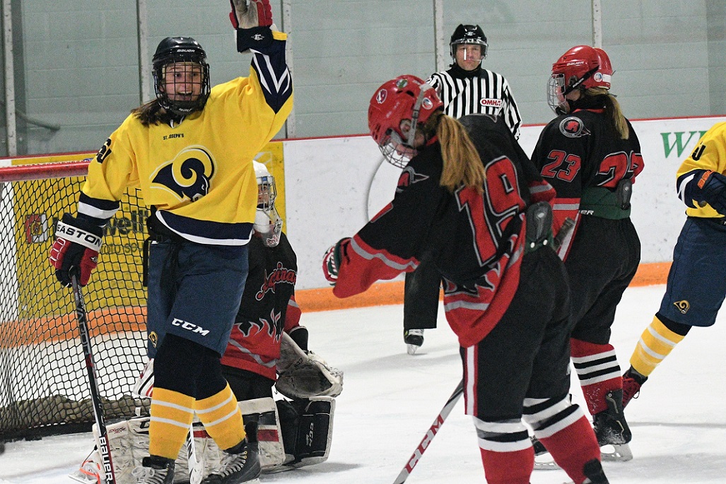 District girls hockey final